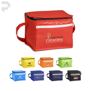 Brighton Non-Woven 6-Can Cooler