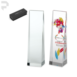 Altitude Hubris Award