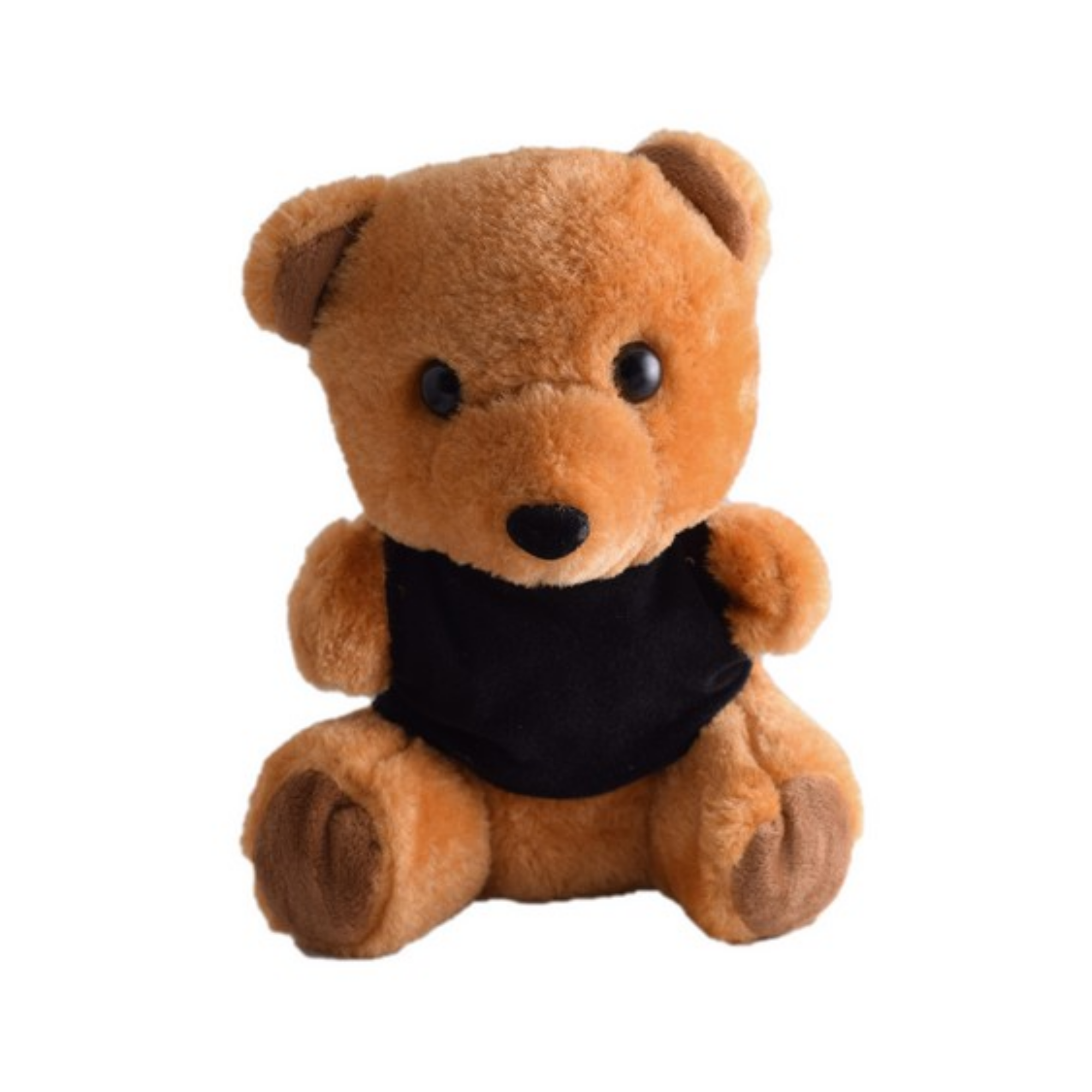 Teddy Plush Toy