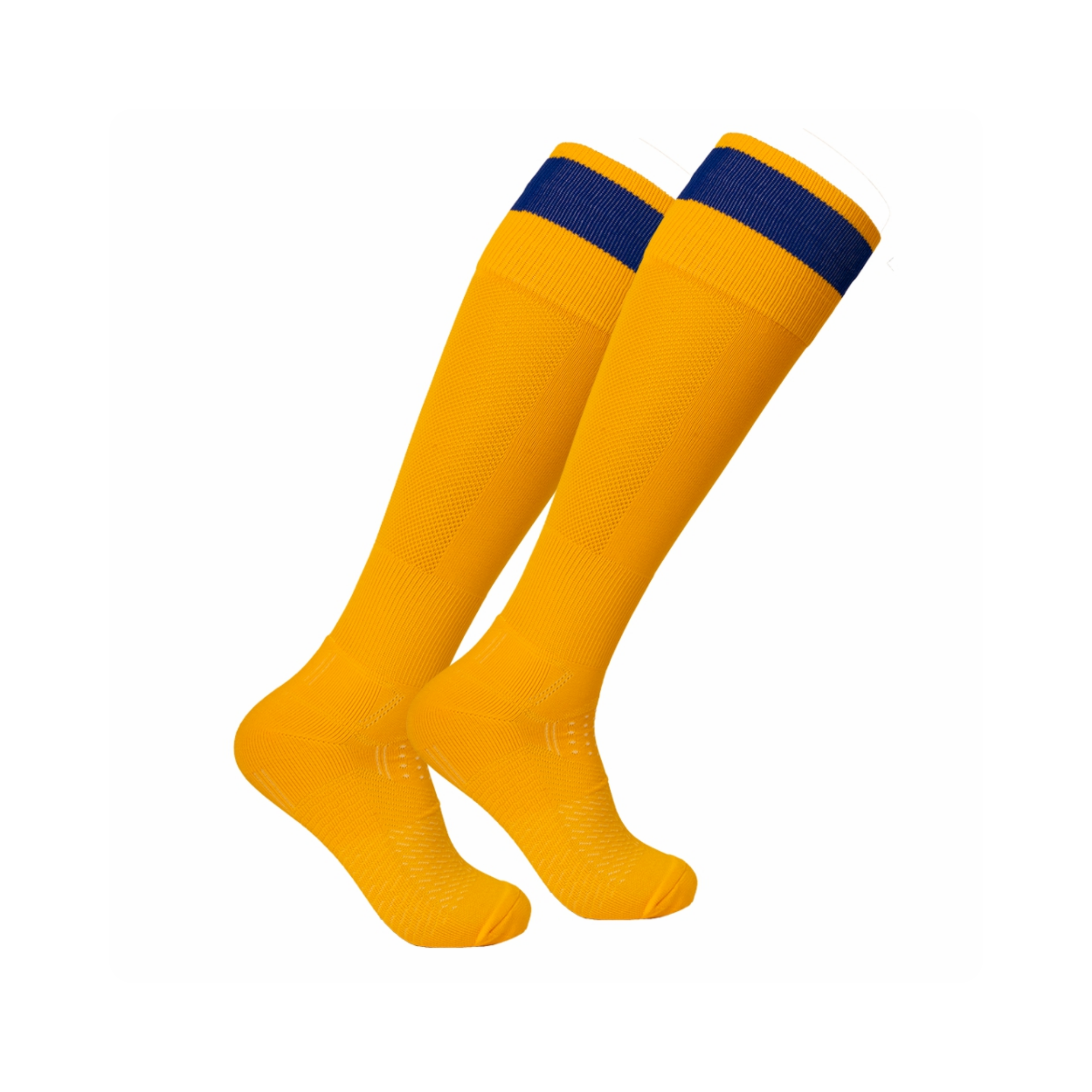 GOLD | ROYAL BLUE